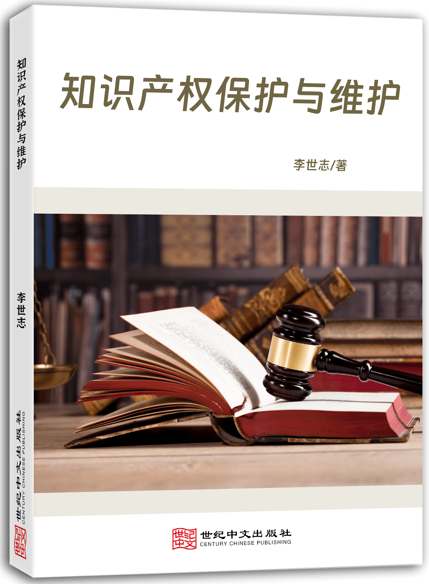 知识产权保护与维护
