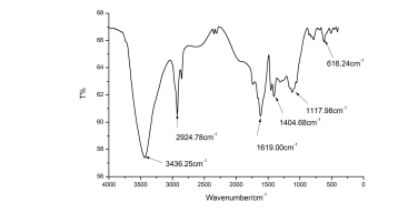 1739168877785.jpg