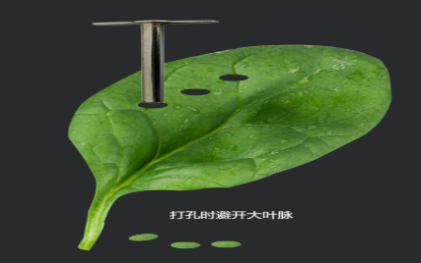 图片3png.png