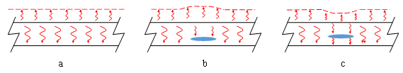 1739430844682.jpg