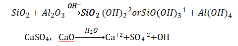1739436055289.jpg