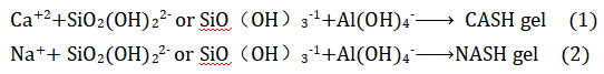 1739436089784.jpg
