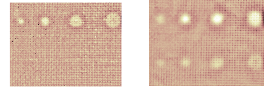 1739512776924.jpg