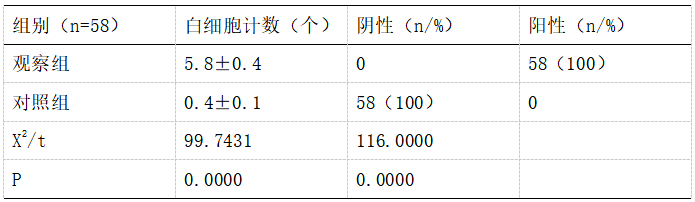 13.png