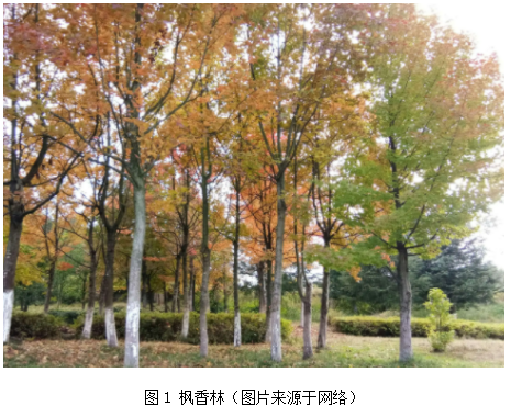 捕获.PNG
