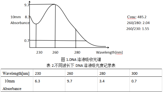 截图1741161870.png