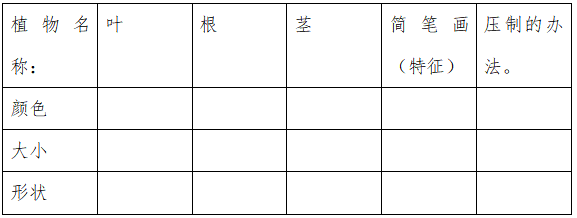 截图1741241789.png