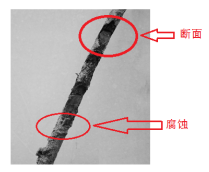 微信图片_20250312102148.png
