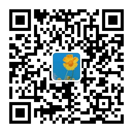 379210204092828038.jpg
