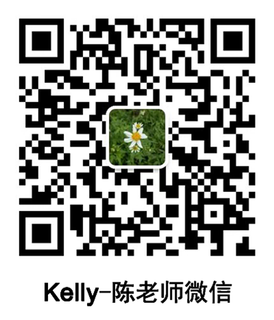 陈老师微信.png