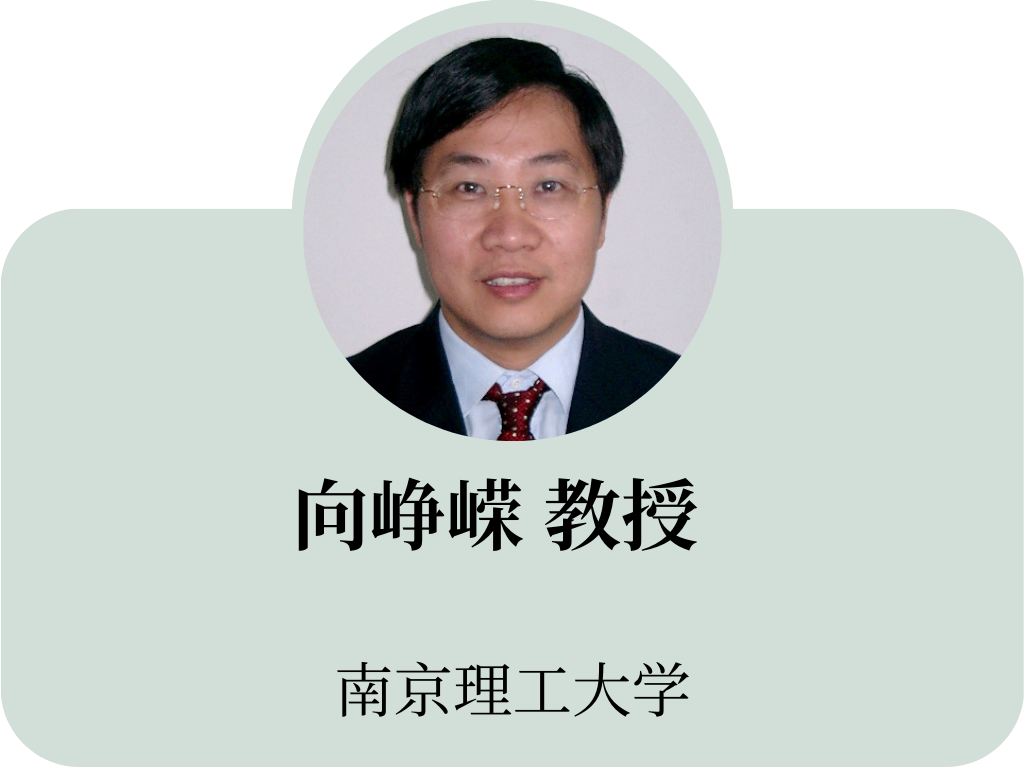 向峥嵘.png