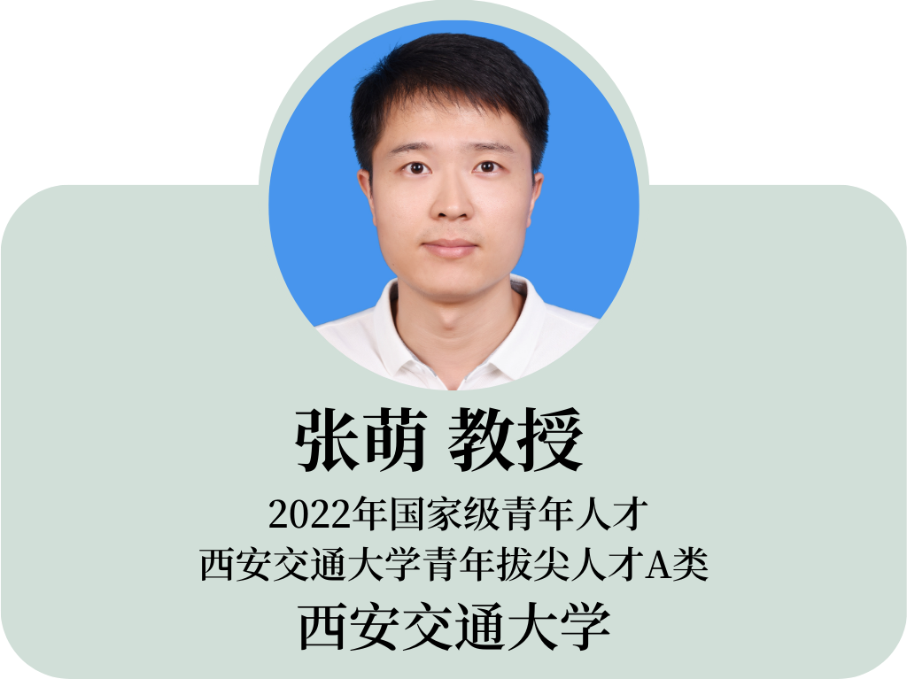 张萌.png