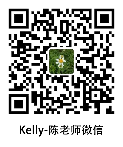 陈老师.png